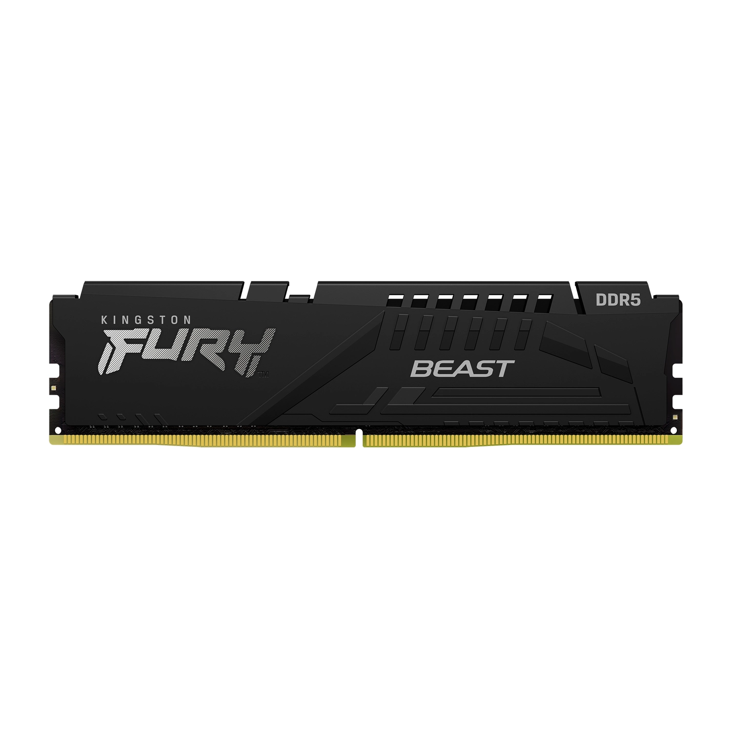 Memoria Pc Fury Ddr5 16Gb 5600 Beast Negra